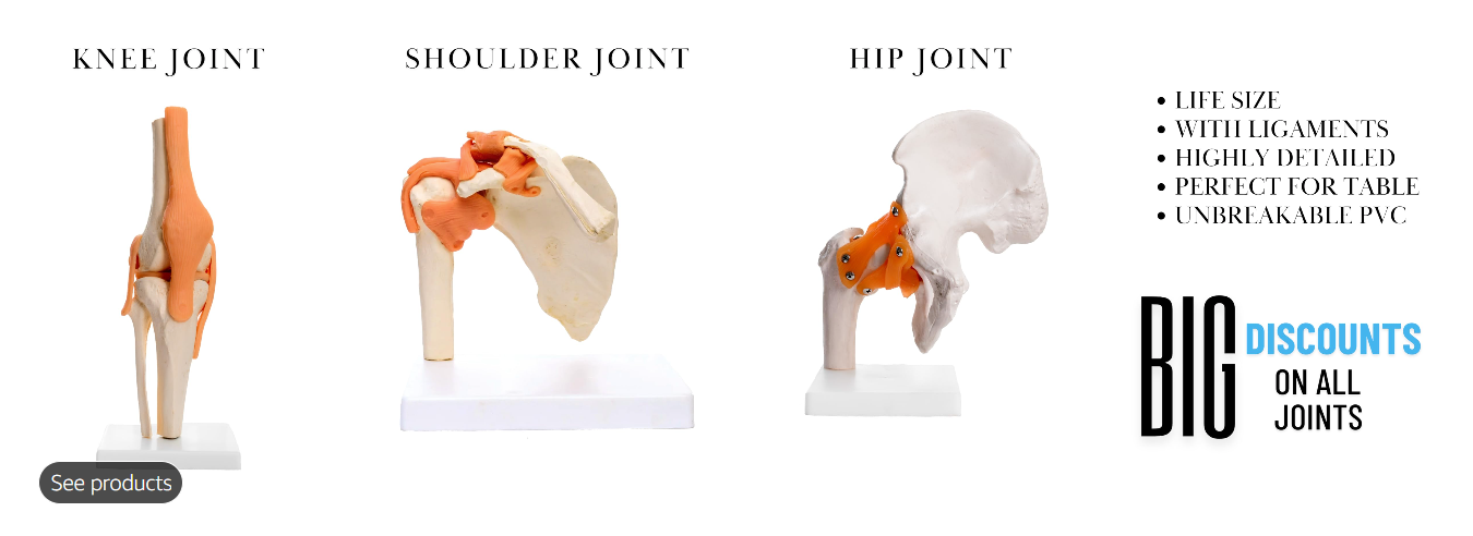 Joint 2